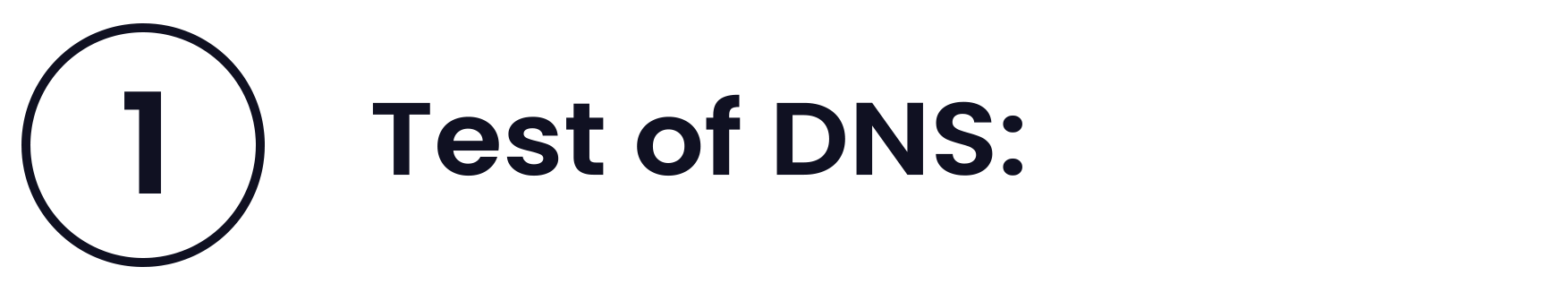 DNS-2